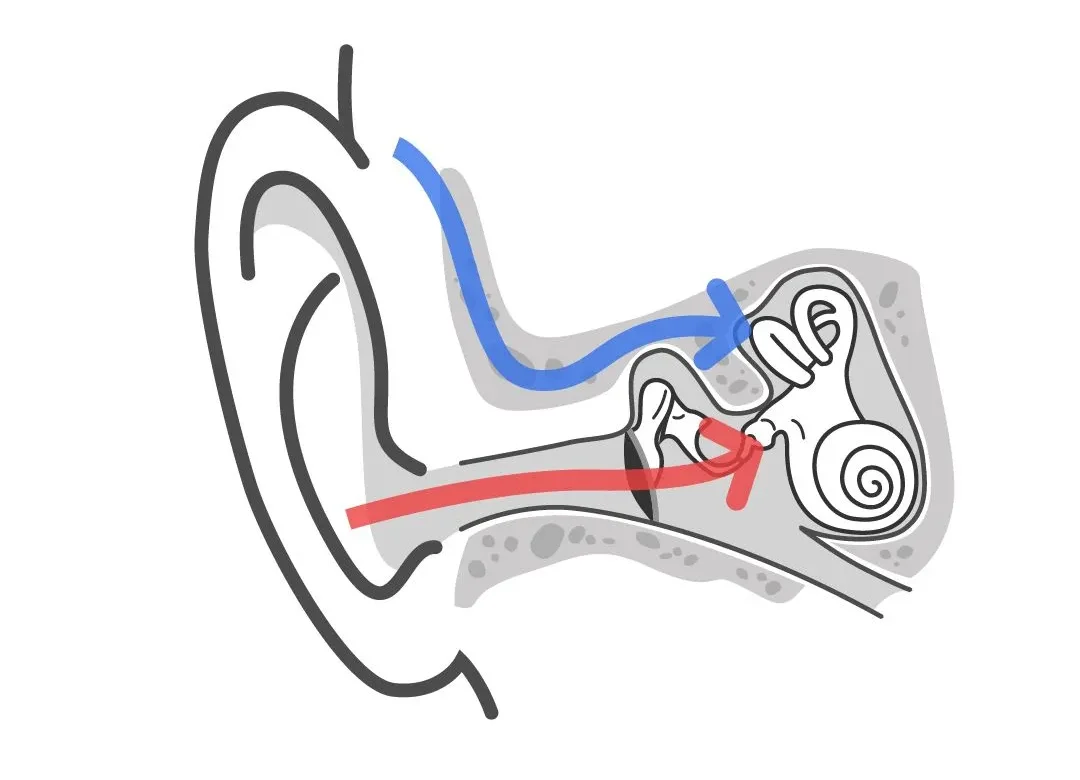baha_conduction